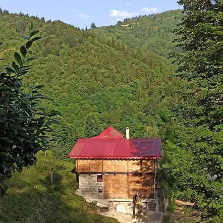 Gunguli Dag Evi