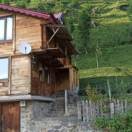 Gunguli Dag Evi Chalet *