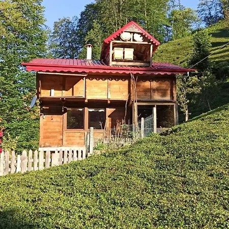 Gunguli Dag Evi Chalet Camlihemsin