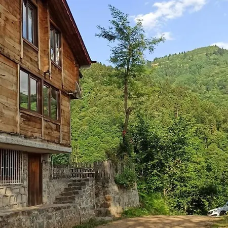 Chalet Gunguli Dag Evi Camlihemsin