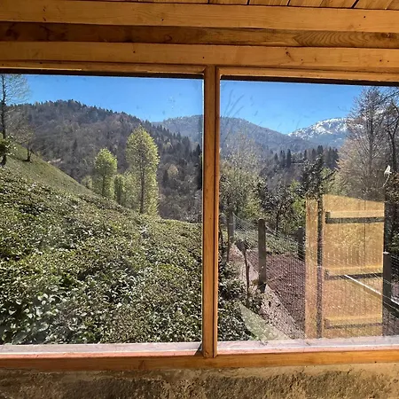 Gunguli Dag Evi *