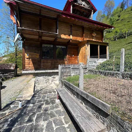Gunguli Dag Evi Chalet *
