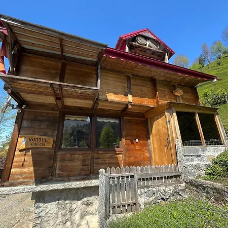 Gunguli Dag Evi Chalet Camlihemsin