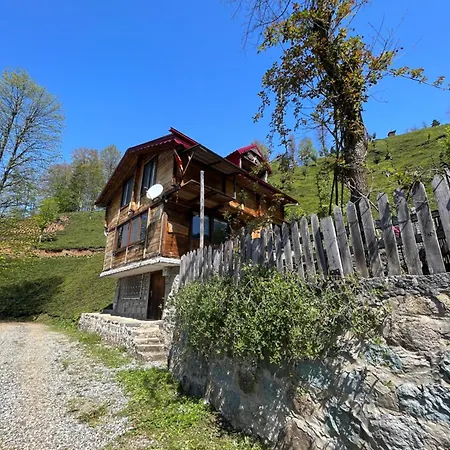 Gunguli Dag Evi Chalet
